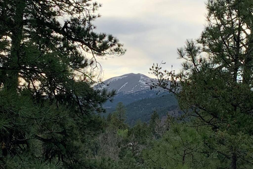 Twin Pines Casita - Big Yard, View, Porch, Hot Tub, & Charm Vila Ruidoso Exterior foto