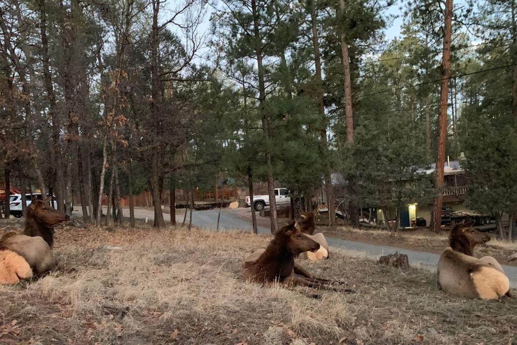Twin Pines Casita - Big Yard, View, Porch, Hot Tub, & Charm Vila Ruidoso Exterior foto